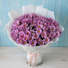 Букет цветов из:  Хризантемы в Зимней Ставке