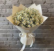 Букет цветов из:  Ромашки в Зимней Ставке