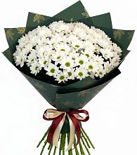 Букет цветов из:  Хризантемы в Зимней Ставке