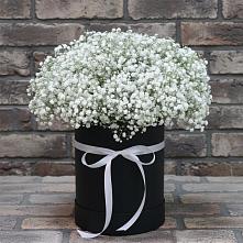 Цветочная композиция из Гипсофила в шляпной коробке в Зимней Ставке
