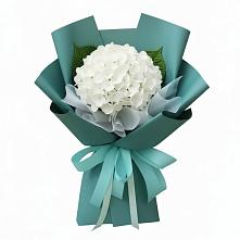Букет цветов из:  Гортензия #REPLACE_PRED# Зимней Ставке